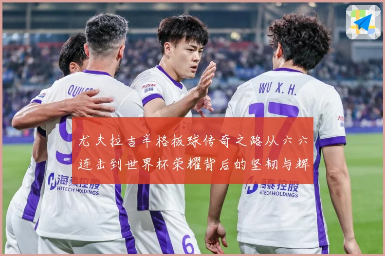 尤夫拉吉辛格板球传奇之路从六六连击到世界杯荣耀背后的坚韧与辉煌人生