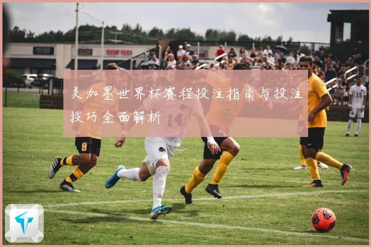 美加墨世界杯赛程投注指南与投注技巧全面解析